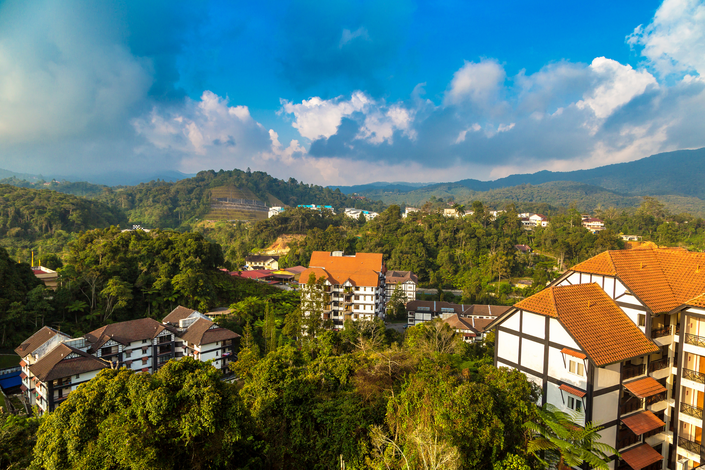 cameron highlands (4).webp